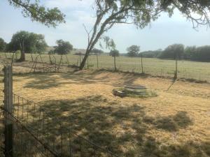 una valla en el campo con una valla y un árbol en Constantino Farms Campsites Tent Camping, en Wilson