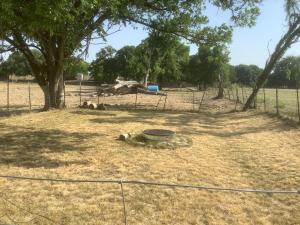 una cerca en un campo con un árbol y un cubo en Constantino Farms Campsites Tent Camping, en Wilson