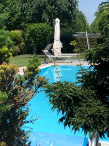 Bazén v ubytování B&B casa Belvedere nebo v jeho okolí