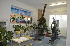 ein Zimmer mit Topfpflanzen und einem Fitnessraum in der Unterkunft Famozclub in Bakov nad Jizerou
