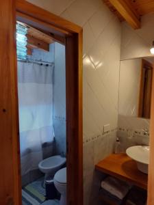 ein Bad mit einem WC und einem Waschbecken in der Unterkunft Armonia de la Naturaleza in San Martín de los Andes