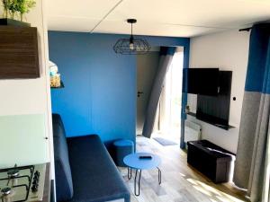 Mobil Home Vue sur Mer - Racine 03的电视和/或娱乐中心