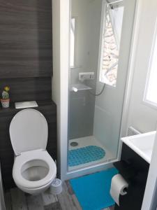Mobil Home Vue sur Mer - Racine 03的一间浴室