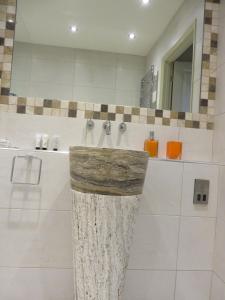 a bathroom with a shower with a stone sink at Hewlett Apartments in Cheltenham