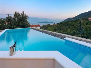 una piscina con un pájaro sentado encima en Villa Vita,free wifi,nearby sea, en Opatija