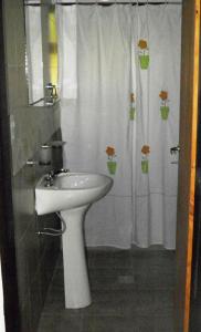 a bathroom with a sink and a shower curtain at Balcones de Puelo in Lago Puelo