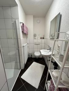 a small bathroom with a toilet and a sink at Ferienwohnung-Mesenich in Zell an der Mosel