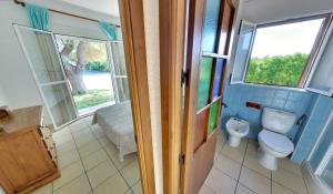 a bathroom with a toilet and a window at Apartamentos Costa Trafalgar in Zahora