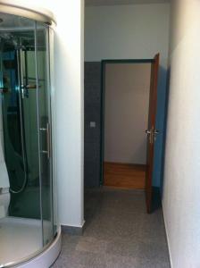 La salle de bains est pourvue d'une douche et d'une porte en verre. dans l'établissement Appartment München Isartor, à Munich