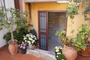 Zahrada ubytování vacanza Taormina mare