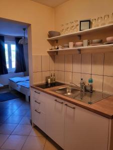 a kitchen with a sink and a counter top at Villa Papuk 