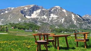 dos sillas y una mesa frente a una montaña en Durmitor cottage in green field-Mountain cottage, en Žabljak