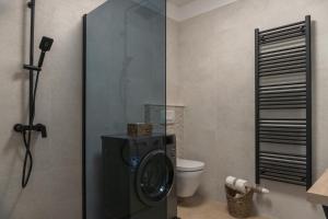 a bathroom with a washing machine next to a toilet at Apartman Sorelle in Kali +28 photos