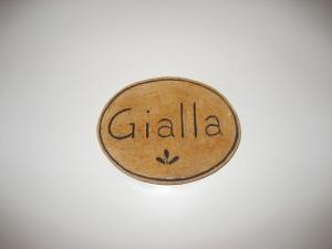 a dollar coin with the word galila on it at Villa Cristina in Monterosso al Mare