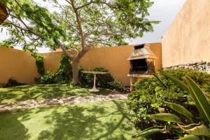 A garden outside Villa Orquidea