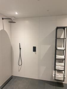 ein Bad mit einer Dusche und einem Handtuchhalter in der Unterkunft Ruunerwoldse Stekkie met eigen badkamer in Ruinerwold