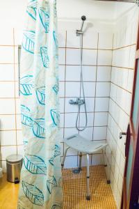 貝加德聖馬特奧的住宿－Casa Rural Encarna，配有淋浴帘的浴室,配有椅子