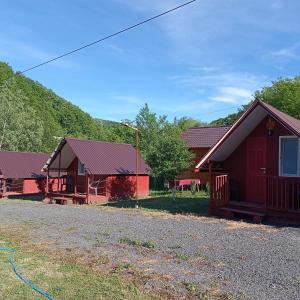 ein paar rote Gebäude mit einem Haus in der Unterkunft La casuta de pe vale in Brănişca