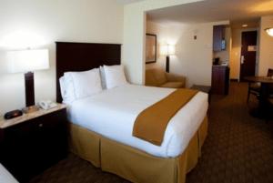 una habitación de hotel con una cama grande y una silla en Holiday Inn Express & Suites Columbus at Northlake, an IHG Hotel, en Columbus