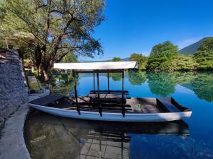 a boat with a canopy on the water at Mila Holiday Home in Lohovo