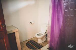 a bathroom with a toilet with a purple shower curtain at Anthurium Apartment in Roseau