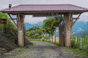 Φυσικό τοπίο κοντά σε αυτό το ξενοδοχείο +6 φωτογραφίες