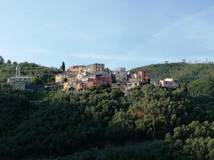 a group of houses on top of a hill at CASA LORENZO SULLE COLLINE DI LEVANTO e VICINO ALLE CINQUETERRE LT-0620 in Levanto