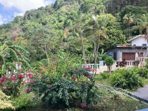 a garden with flowers in front of a mountain at Stunning 2-Bed Apartment in Grand Roy Grenada in Mount Nesbit