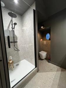 uma casa de banho com um chuveiro e um WC num quarto em Unique et charmant 35 m2 Hôtel Particulier XVII ieme Centre Historique Clermont-Ferrand-Lucas II em Clermont-Ferrand