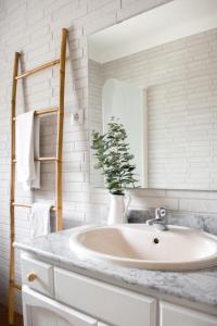 a bathroom with a sink and a potted plant at Casa do Vagar in Vimieiro