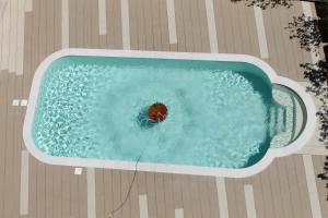 Πισίνα στο ή κοντά στο Hotel Corallo +15 φωτογραφίες