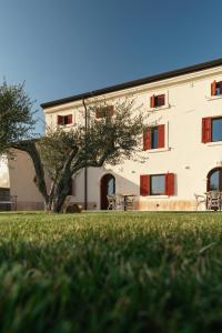 un bâtiment blanc avec un arbre dans l'herbe dans l'établissement Corte Massimago, à Mezzane di Sotto