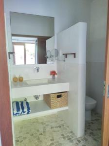 a bathroom with a sink and a mirror and a toilet at Suíte na falésia in Pipa