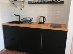 a kitchen with a counter top with a sink at APARTMANI GOMILA in Jelsa +20 photos