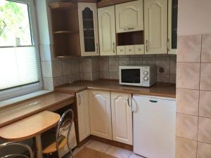 Kuchyňa alebo kuchynka v ubytovaní Apartament Kredens , Willa Perla nad morzem