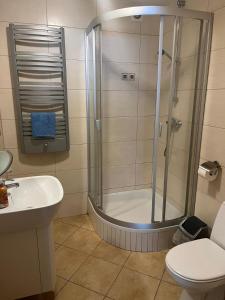 La salle de bains est pourvue d'une douche, de toilettes et d'un lavabo. dans l'établissement Apartament Kredens , Willa Perla nad morzem, à Gdańsk