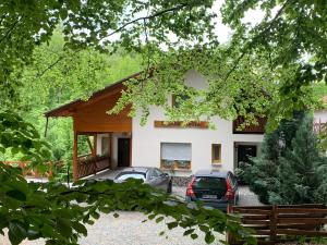 a house with two cars parked in front of it at Pintea Chalet in Baia-Sprie