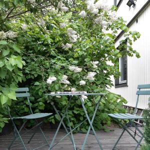 Fotografie z fotogalerie ubytování Villa Kungssten v destinaci Gothenburg
