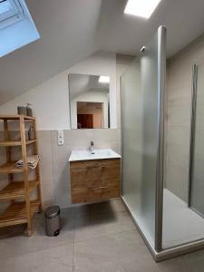 a bathroom with a sink and a shower at Ferienweingut Wissing Wohnung Frieda in Gleiszellen-Gleishorbach