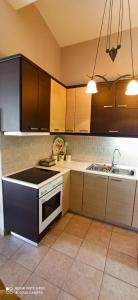 Köök või kööginurk majutusasutuses Family Home Myrina Lemnos