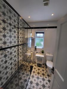 a bathroom with a toilet and a sink at Dunagree Bed & Breakfast in Greencastle