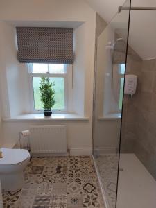 a bathroom with a shower and a toilet and a window at Drumlaghy House in Florencecourt