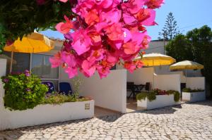a bunch of pink flowers on a patio with umbrellas at Algarve breeze studio in a subtropical garden in Luz +5 photos