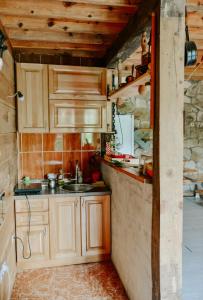 Kuchyň nebo kuchyňský kout v ubytování Drinska Villa Cabin
