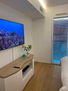 TV tai viihdekeskus majoituspaikassa Baie Marquet frontière Monaco