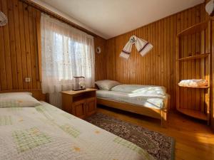 1 Schlafzimmer mit 2 Betten und einem Fenster in der Unterkunft Pensiunea Nechita in Şanţ