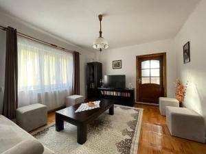ein Wohnzimmer mit einem Sofa und einem Couchtisch in der Unterkunft Pensiunea Nechita in Şanţ