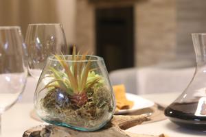 un jarrón de cristal con una planta en una mesa en DUPLEX COM JACUZZI NA BORGES - SATTVA HOME, en Gramado