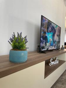 a tv sitting on top of a counter with a plant at Apartman Holiday in Tivat