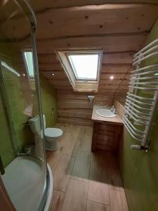 ein Badezimmer mit Dusche, Toilette und Waschbecken in der Unterkunft Agroturystka Stylowy Apartament nad Stajnią in Krajno-Zagórze + 31 Fotos